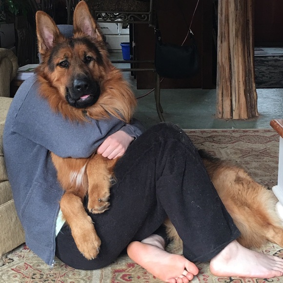 Meet your Posher, Marantha - Picture 6 of 8